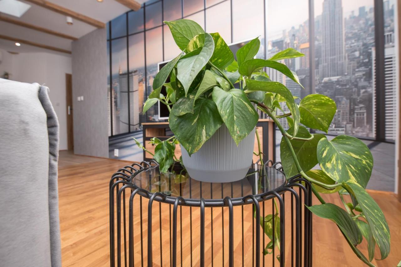 גליביצ'ה Apartament Mikolowska 2 מראה חיצוני תמונה